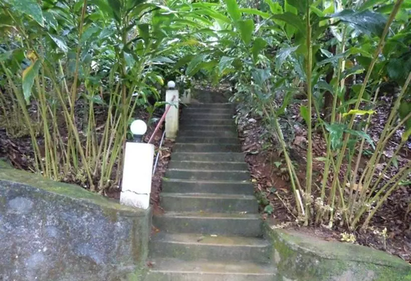 ペンション Jojo Cottages