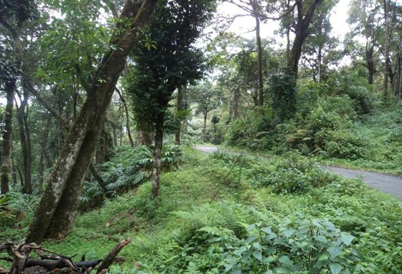 Pensjonat Jojo Cottages