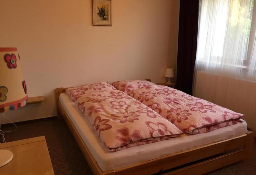 بنسيون Penzion Na Vyhlídce