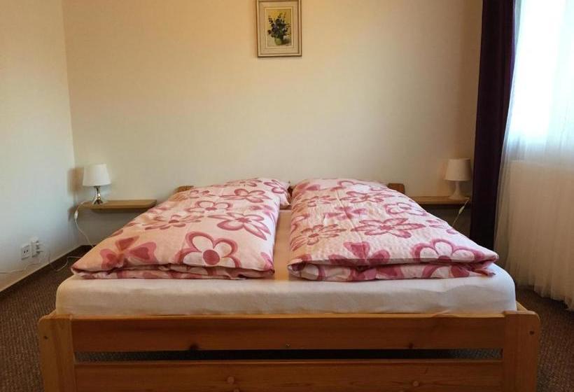 بنسيون Penzion Na Vyhlídce