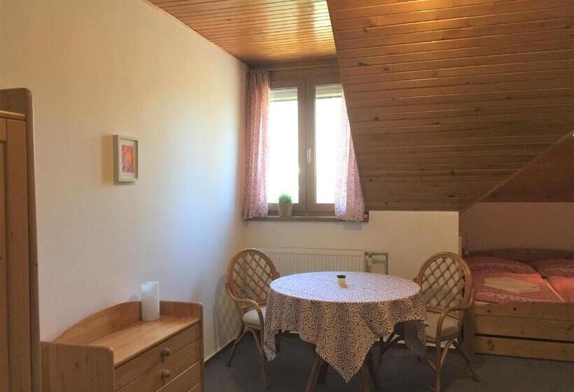 بنسيون Penzion Na Vyhlídce