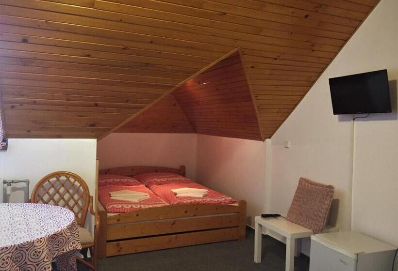 بنسيون Penzion Na Vyhlídce