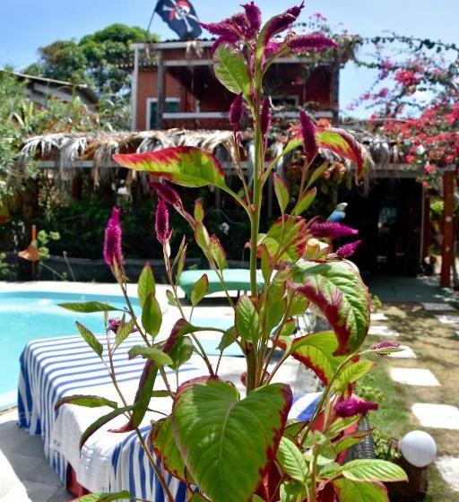 ペンション Pousada Canavial Beach Bar