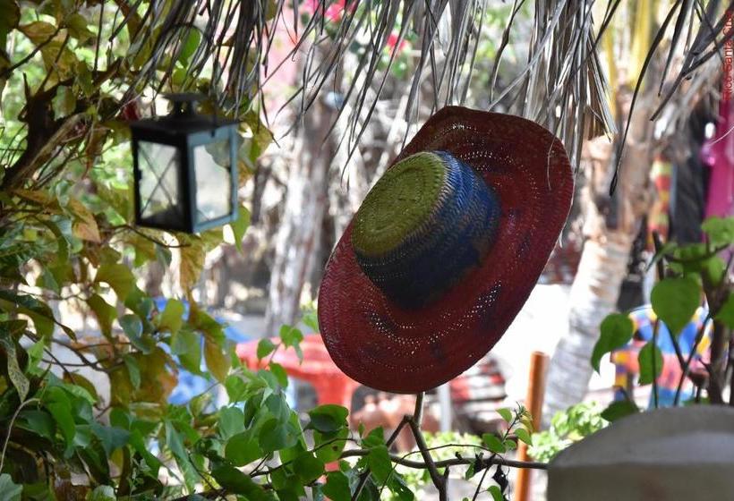 ペンション Pousada Canavial Beach Bar