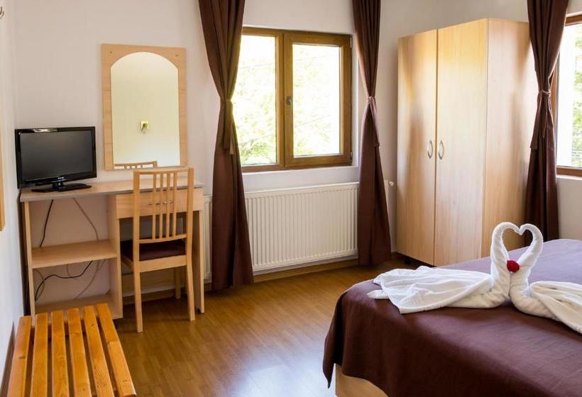 Pensão Vila Alma Azuga