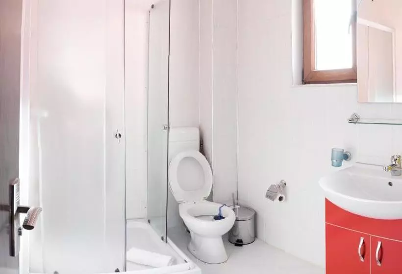 Majatalo Vila Alma Azuga