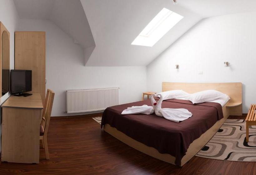 Pensão Vila Alma Azuga