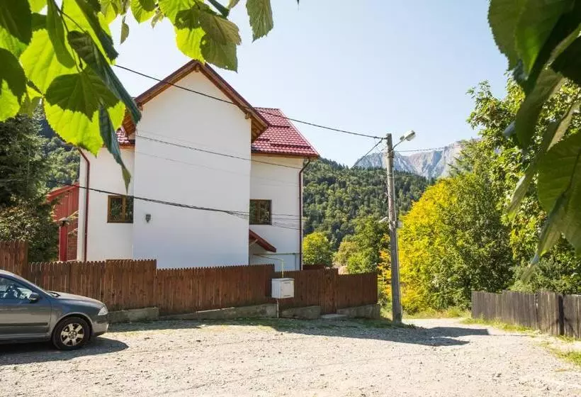 Majatalo Vila Alma Azuga