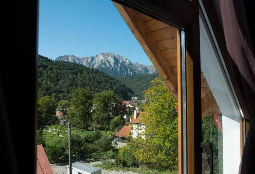 Majatalo Vila Alma Azuga