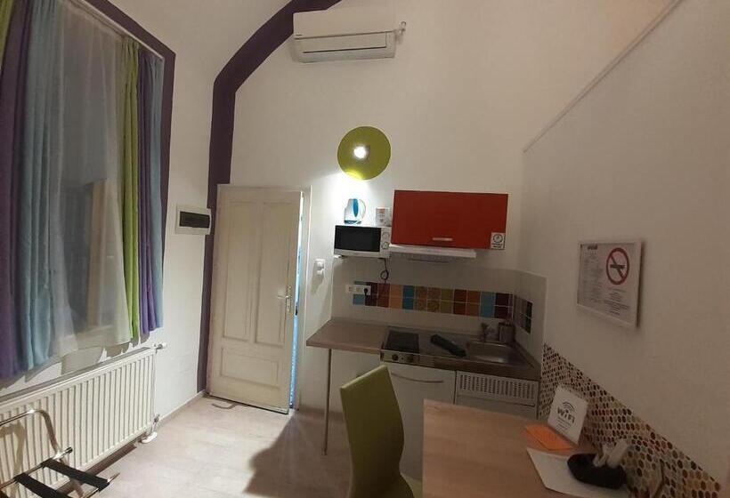 Amber Gardenview Studios Downtown