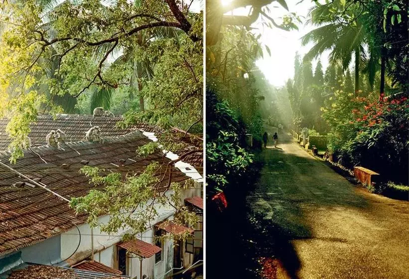 ペンション Casa Aluizio