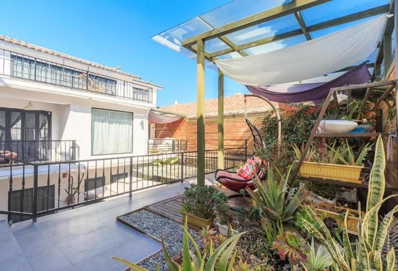 פנסיון Snow King