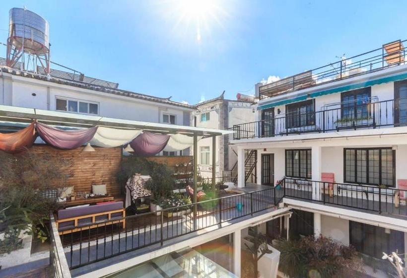 פנסיון Snow King