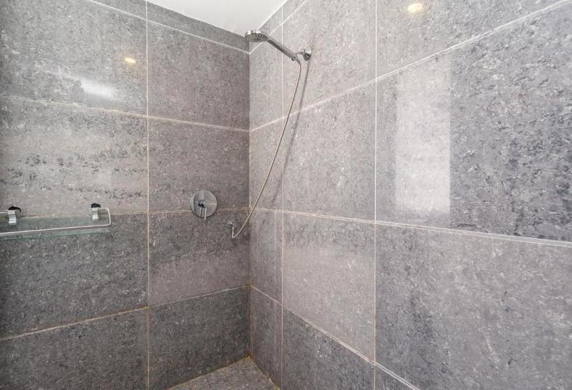 פנסיון Snow King