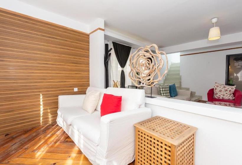 פנסיון Snow King