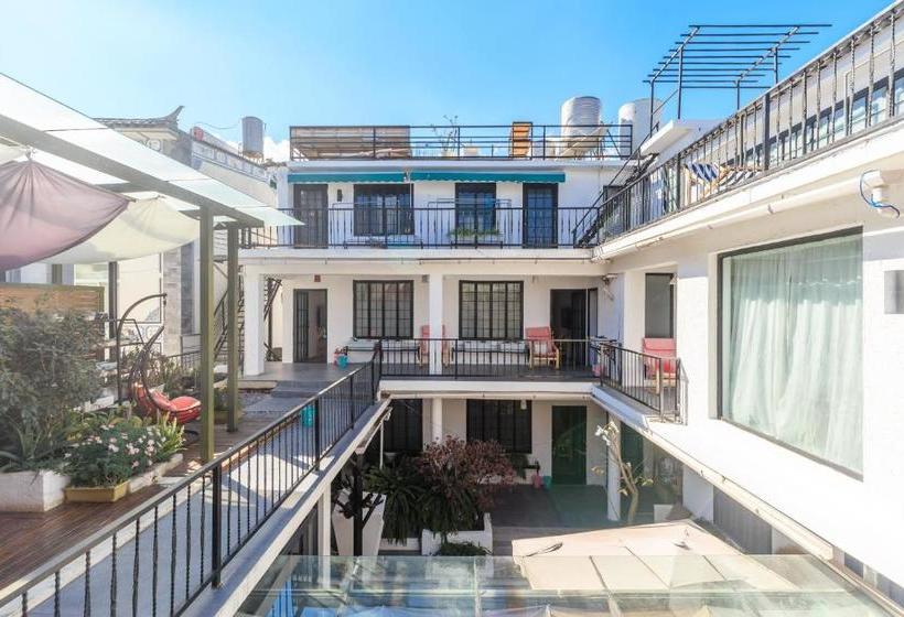 פנסיון Snow King