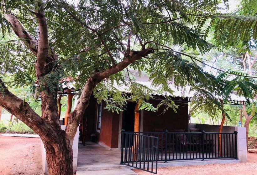 Pensionat The Summer Corridor   Kataragama