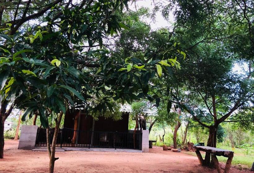 Pensionat The Summer Corridor   Kataragama