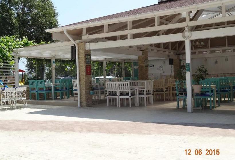 Pensiunea Casa Harghita