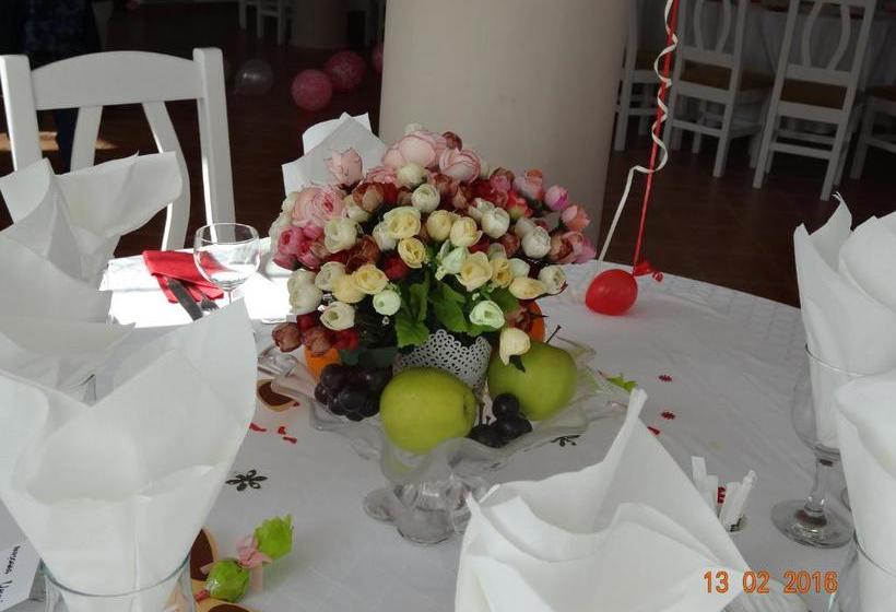 Pensiunea Casa Harghita