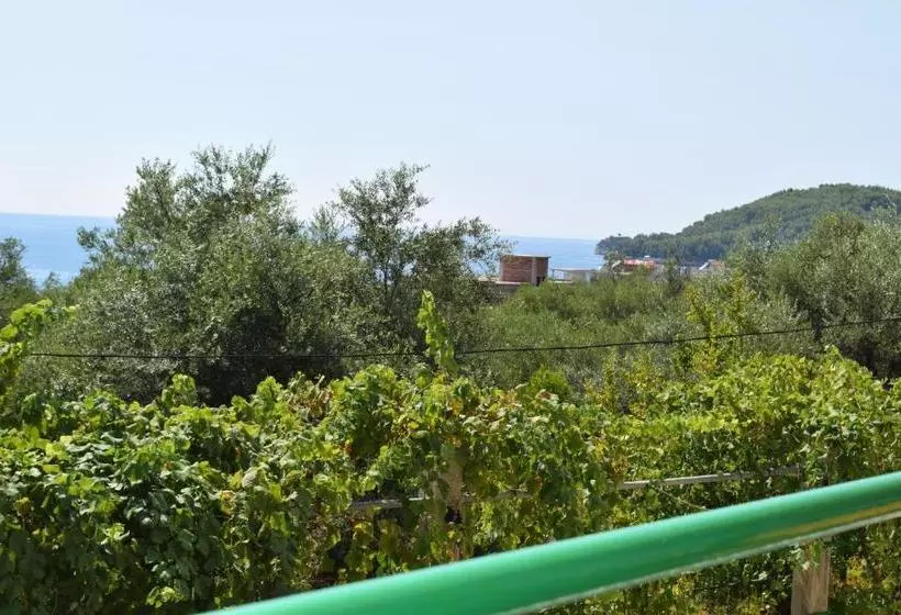 Aamiaismajoitus (B&B) Velco Bb Himara