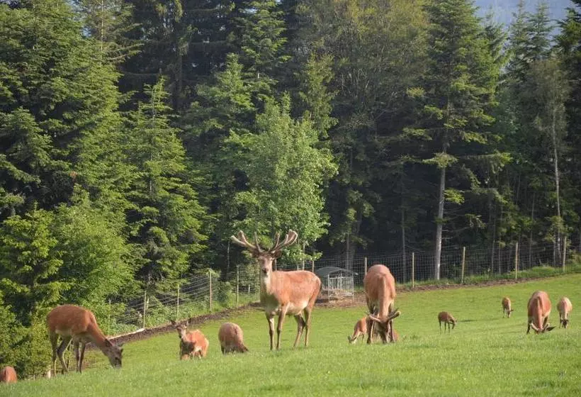 Retkeilymaja Wildwiesenhof