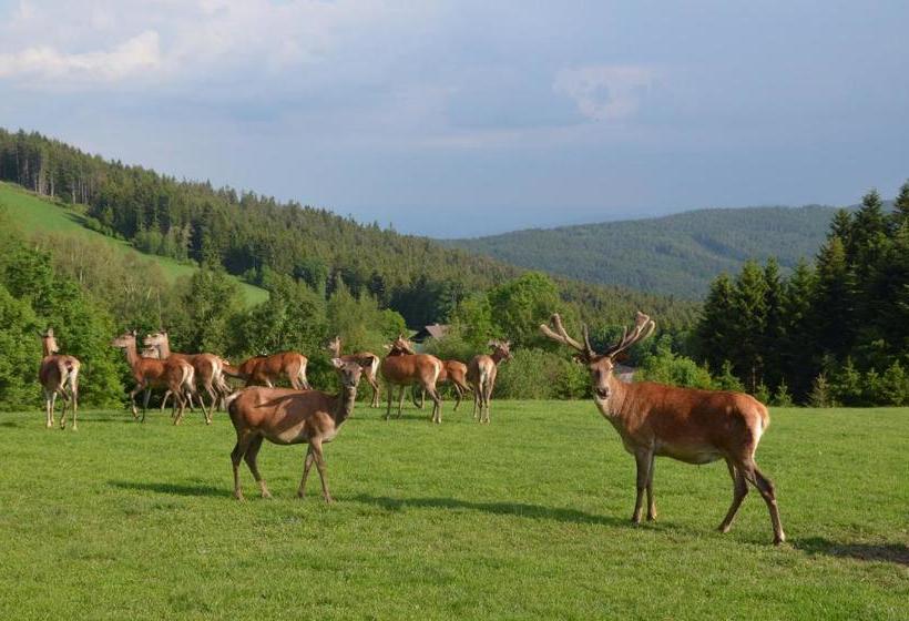 فندق صغير Wildwiesenhof