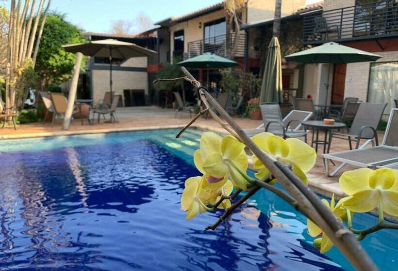 فندق Sol De Luque Casa