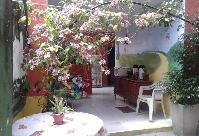 Pension Pousada Da Didi