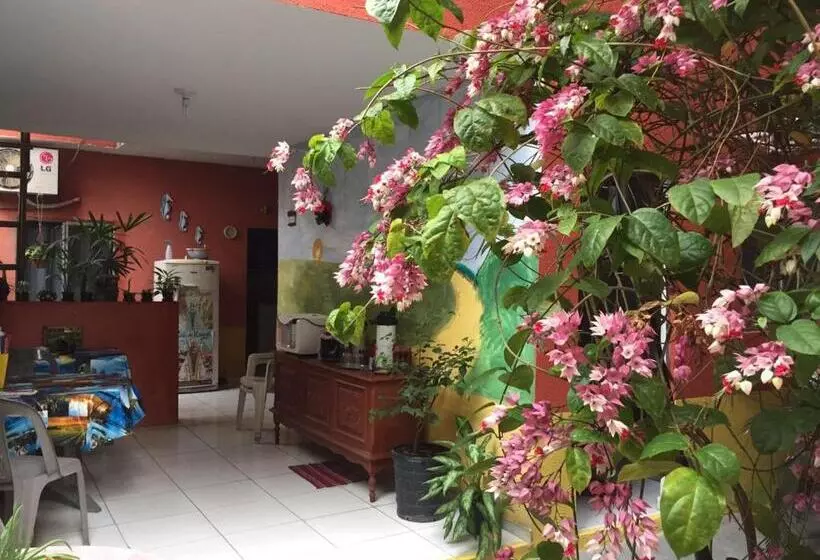 Pension Pousada Da Didi