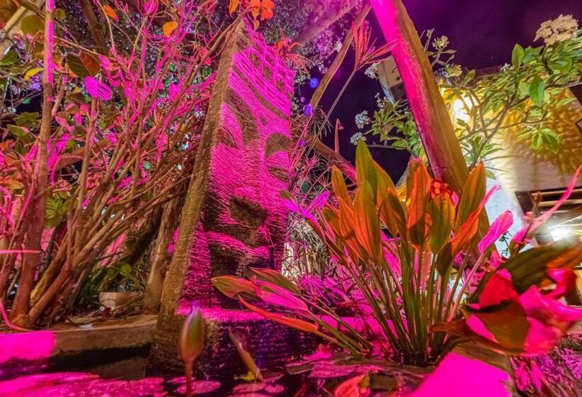 פנסיון Vilarejo Barra Grande