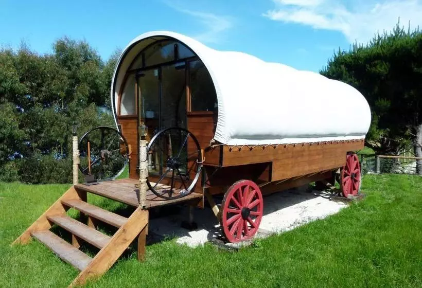 Hotelli Wacky Stays   Unique Farm Stay Glamping Rentals, Free Animal Feeding Tours