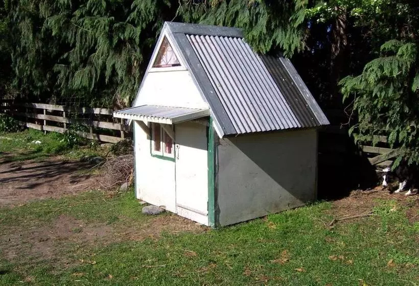 Hotelli Wacky Stays   Unique Farm Stay Glamping Rentals, Free Animal Feeding Tours