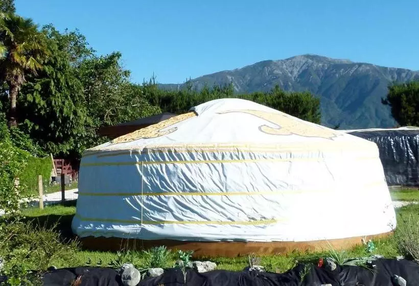 Hotelli Wacky Stays   Unique Farm Stay Glamping Rentals, Free Animal Feeding Tours