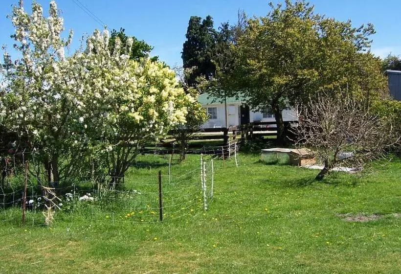 Hotelli Wacky Stays   Unique Farm Stay Glamping Rentals, Free Animal Feeding Tours