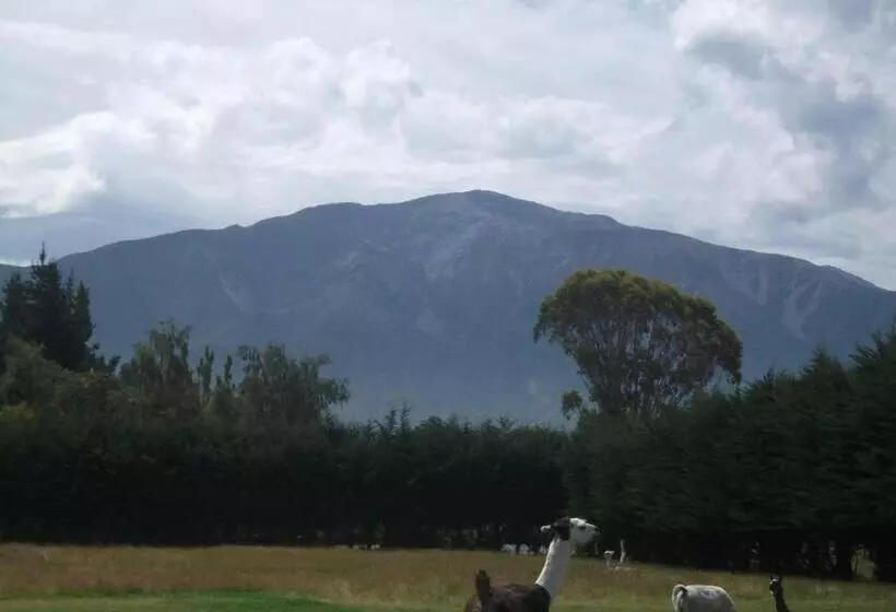 Hotelli Wacky Stays   Unique Farm Stay Glamping Rentals, Free Animal Feeding Tours