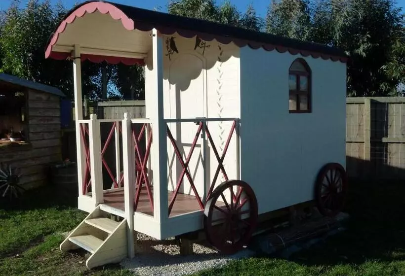 Hotelli Wacky Stays   Unique Farm Stay Glamping Rentals, Free Animal Feeding Tours