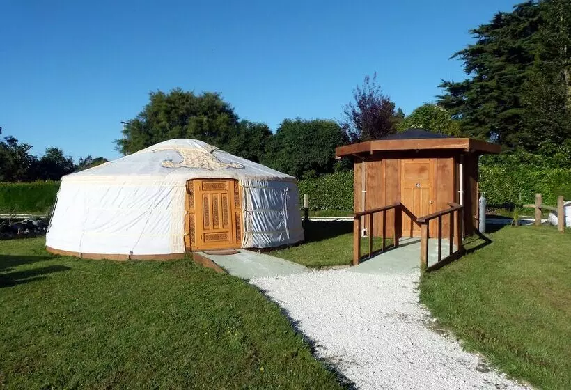 Hotelli Wacky Stays   Unique Farm Stay Glamping Rentals, Free Animal Feeding Tours