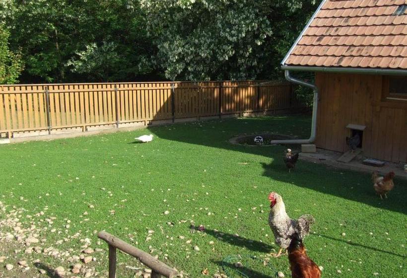 بنسيون Ezerjó ökofogadó