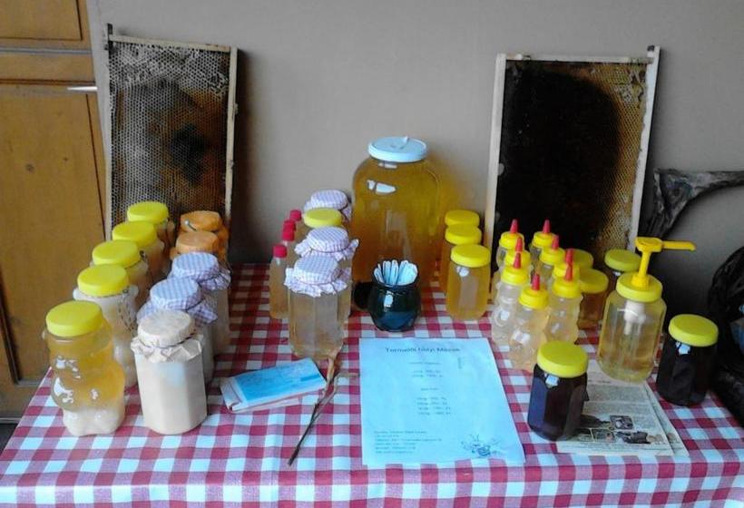 بنسيون Ezerjó ökofogadó