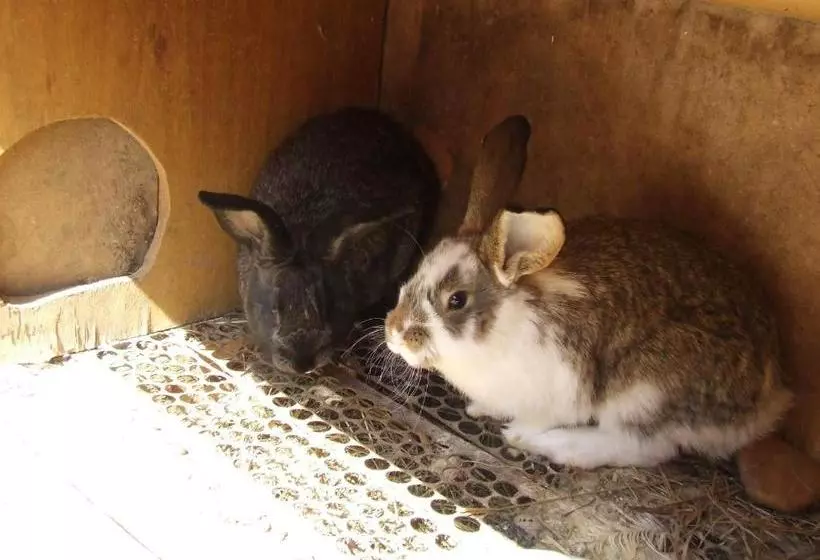 Majatalo Ezerjó ökofogadó