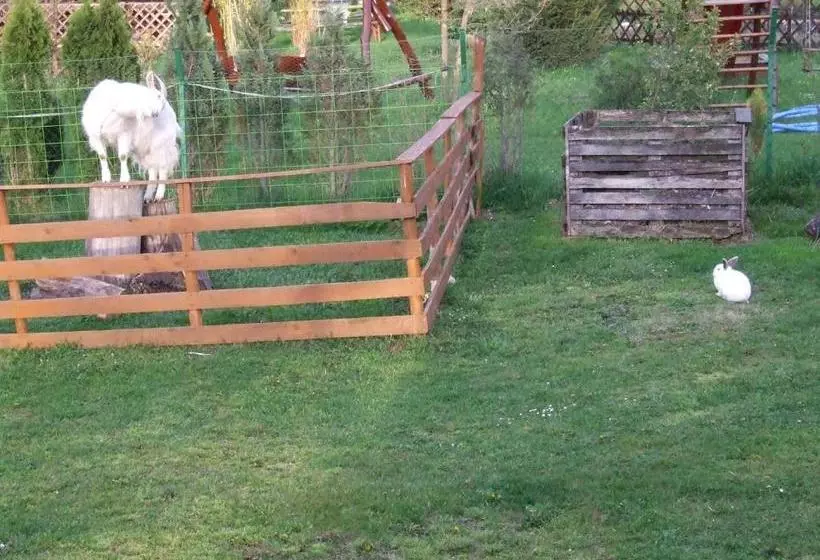 Majatalo Ezerjó ökofogadó