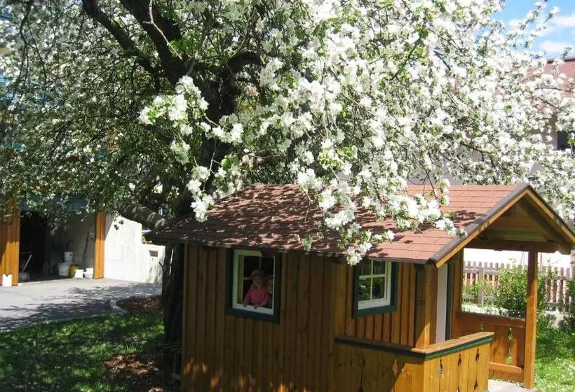 Majatalo Gästehaus Pilz Schladming