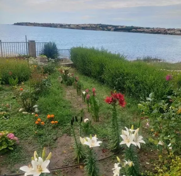 ペンション Guest House Skalite