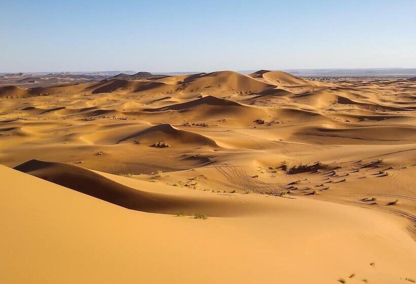 旅馆 Hôtel Camping La Liberté