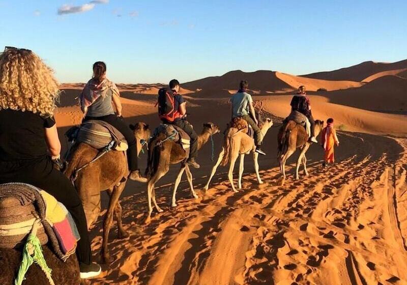 旅馆 Hôtel Camping La Liberté