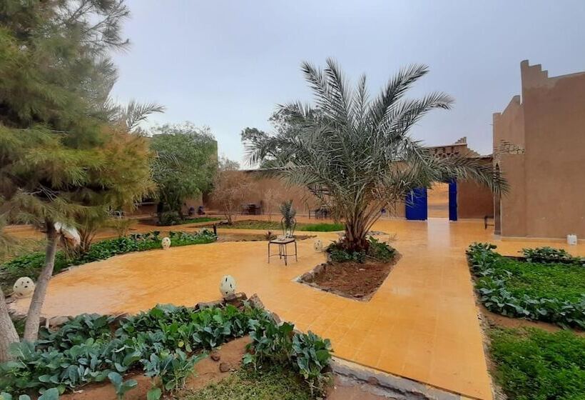 旅馆 Hôtel Camping La Liberté