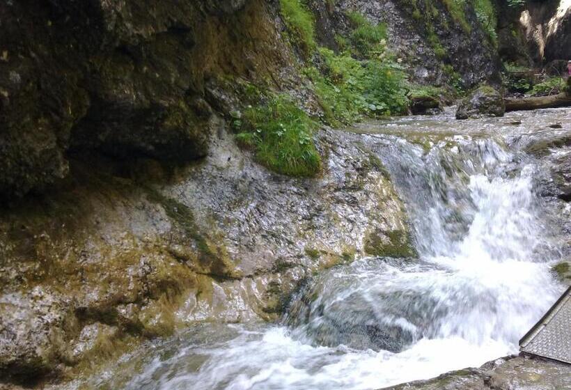 ペンション Chalupa Vaclav