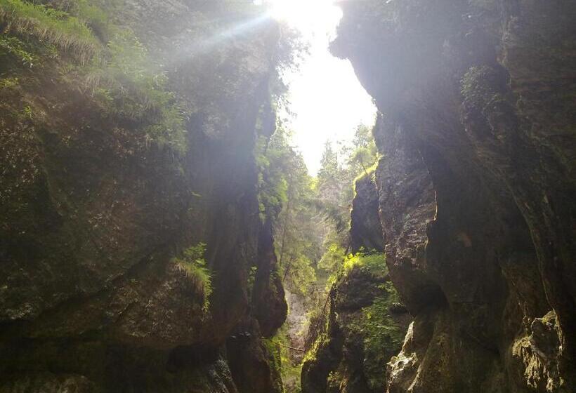 ペンション Chalupa Vaclav