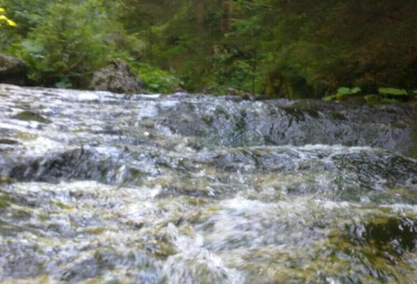 ペンション Chalupa Vaclav